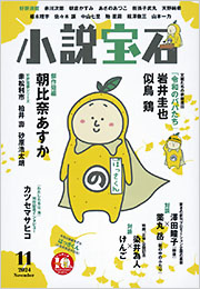 小説宝石